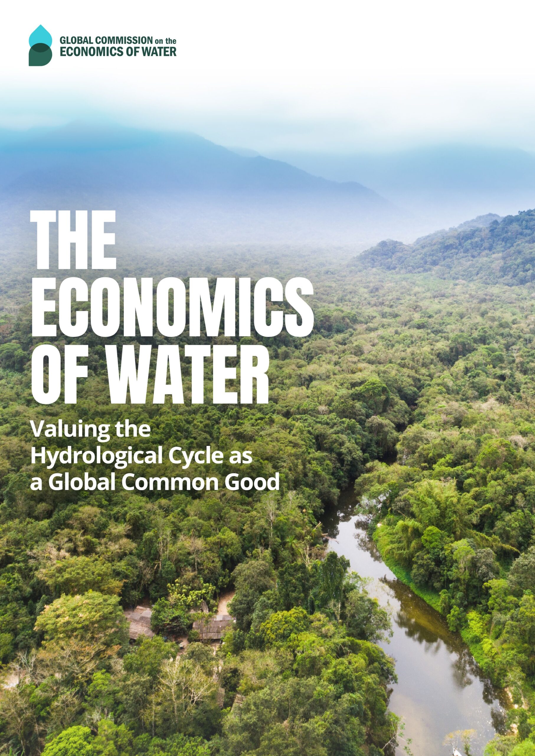 The economics of water report