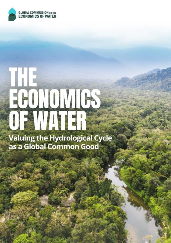 The Economics of Water: Valuing the Hydrological Cycle as Global Common Good