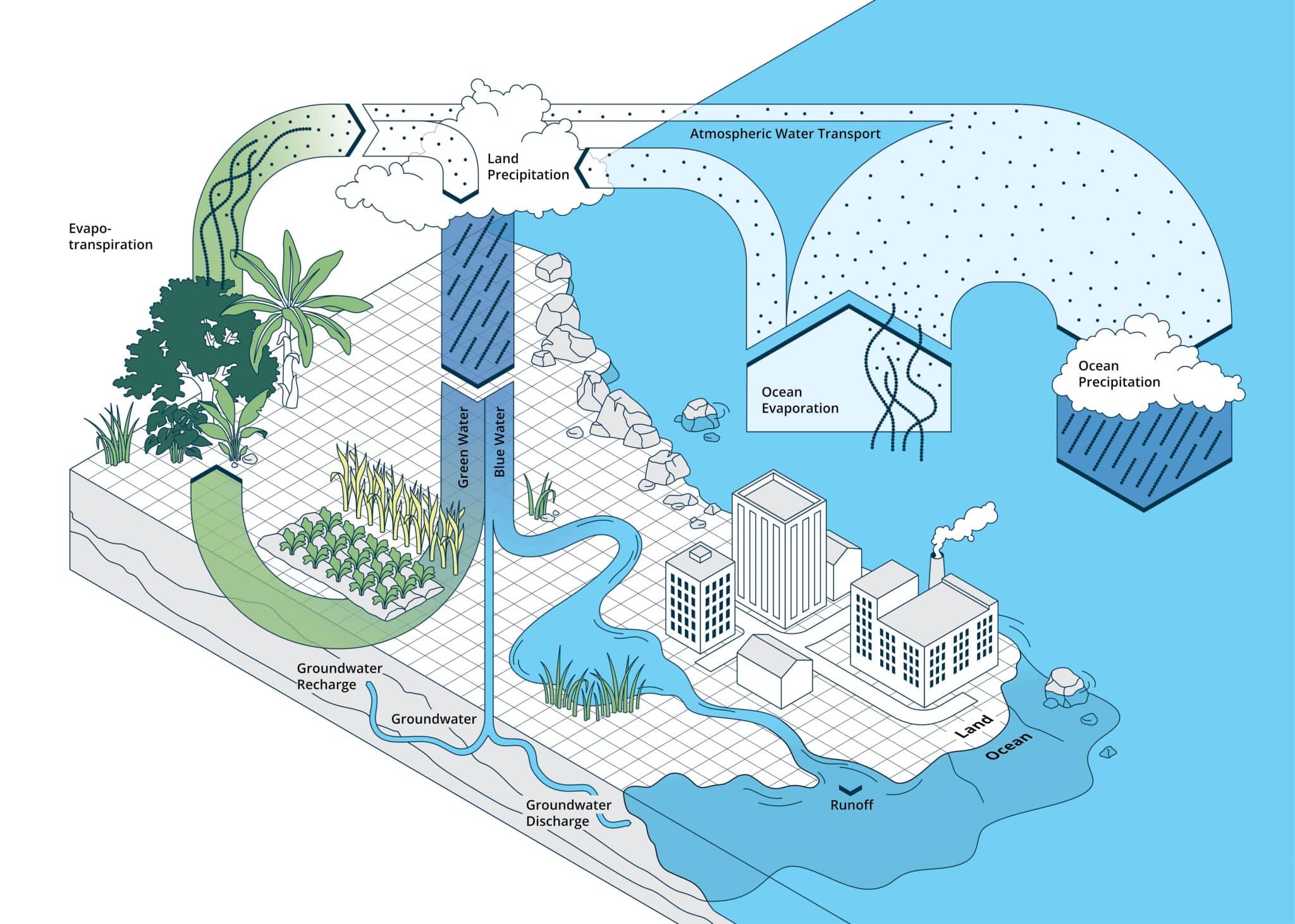 A conceptual illustration of the hydrological cycle