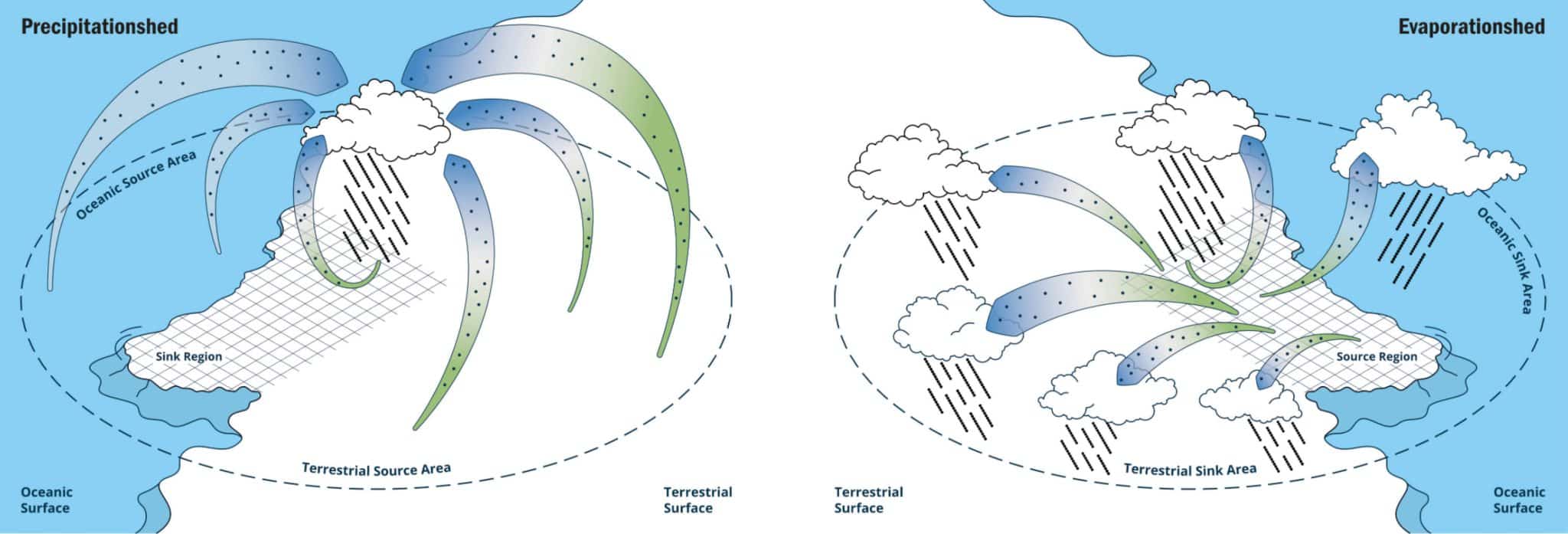 Precipitationsheds and evaporationsheds